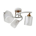 Потолочный светильник Экономсвет 58917/3FGD+WT WT+CL