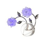 Светильник ЭкономСвет 5898/2wCR RBPLED