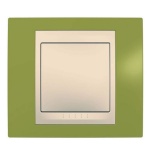 Рамка 1-ая MGU6.002.566