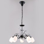 Светильник Eurosvet 60033/5 черный с серебром