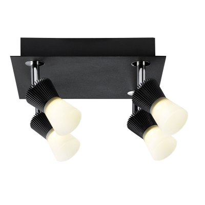 Paulmann 60203 SL Konos LED Rondell 4x3W Sz