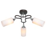 Потолочный светильник Экономсвет 6163/3CR+BR WT