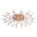 Светильник ЭкономСвет 621M/28FGD RC