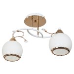 Потолочный светильник Экономсвет 6260/2FGD WT