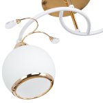 Потолочный светильник Экономсвет 6260/2FGD WT