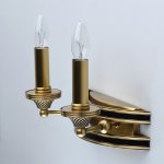 Светильник Chiaro 639023302 Версаче