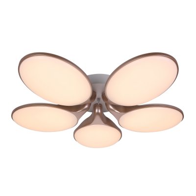 Светодиодный светильник 65003/5PGD Экономсвет