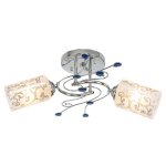 Потолочный светильник Экономсвет 6519/2B CH+BL