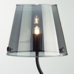 Настольная лампа Lumion 6570/1T SMOKY