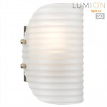 Светильник настенный бра Lumion 6571/1W FIORO