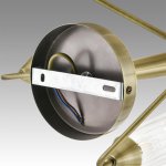 Люстра потолочная Lumion 6584/8C DOLIANA