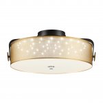 Потолочный светильник Lumion 6597/40L DRUMY