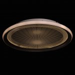 Светильник потолочный Mw light 660013901 Норден