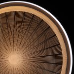 Светильник потолочный Mw light 660014001 Норден