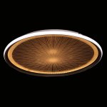 Светильник потолочный Mw light 660014001 Норден