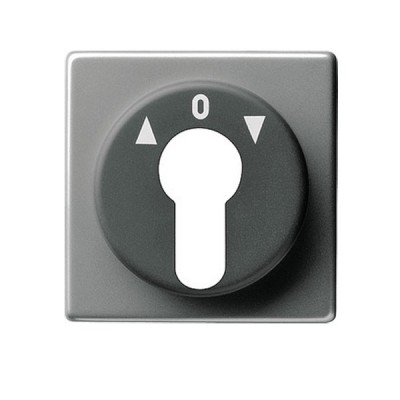 Gira E22 Сталь Накладка выключателя с ключом (G66420)