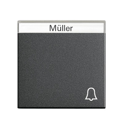 Gira S-55 Антрацит Клавиша с полем для надписи и символом "звонок" (G67328)
