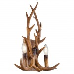 Светильник настенный Globo 67997-2W PAUMURE