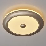 Светильник Mw Light 688010301