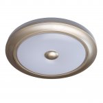 Светильник Mw Light 688010301