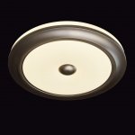 Светильник Mw Light 688010301