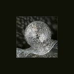 Настенный/Потолочный светильник MM Lampadari 6882/A1 02 V2499 Grande