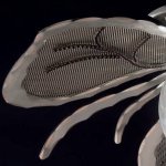 Настенный/Потолочный светильник MM Lampadari 6907/P1-02 V2562