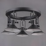 Люстра Mw Light 691012105 Таун