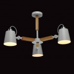 Люстра Mw light 693011203 Форест