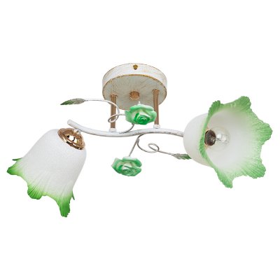 Светильник ЭкономСвет 6960/2WT+GD WT+GN