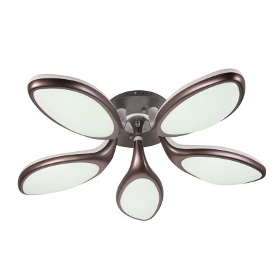 

Люстра светодиодная Экономсвет 70016L/5BR, 70016L/5BR
