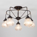 Люстра Eurosvet 70078/5 черный