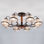 Люстра потолочная Eurosvet 70081/8 черный