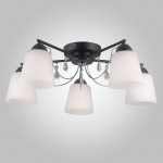 Светильник Eurosvet 70094/5 черный