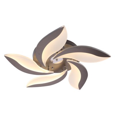 Потолочный светильник Экономсвет 70103/5BR