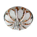 Люстра круглая Экономсвет 70228/5CR+SG WT RC WTLED