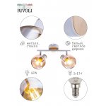Светильник настенно-потолочный спот Rivoli Kalisto 7025-702 2 х E14 40 Вт поворотный