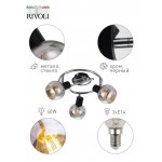 Светильник настенно-потолочный спот Rivoli Medeya 7029-733 3 х E14 40 Вт поворотный