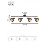 Светильник настенно-потолочный спот Rivoli Eho 7031-704 4 х E14 40 Вт поворотный