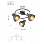 Светильник настенно-потолочный спот Rivoli Eho 7031-733 3 х E14 40 Вт поворотный