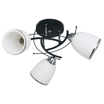 Потолочный светильник Экономсвет 7031/3BK+CH WT