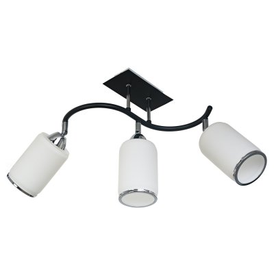 Потолочный светильник Экономсвет 7043/3BK+CH WT