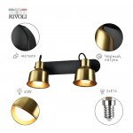 Светильник настенно-потолочный спот Rivoli Lenore 7060-702 2 х Е14 40 Вт поворотный с выключателем