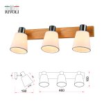 Светильник настенно-потолочный спот Rivoli Lachrimae 7063-703 3 х Е14 40 Вт поворотный модерн с выключателем