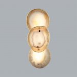 Настенный светильник Odeon light 7065/10WL AGATE