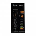 Лампа диодная Voltega VG10-ST64GE27warm4W-FB