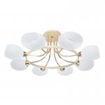 Люстра Colosseo 70823/8С