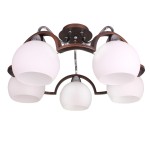 Светильник Colosseo 70858/5C optima