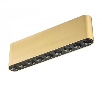 Потолочный светильник Odeon light 7093/21CL SMALL