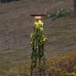 Ландшафтный светильник Odeon light 7108/15GL LIANA